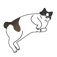 a brown and white cat is laying on its back on a white background .