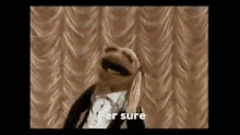 Muppets The GIF - Muppets The Old GIFs