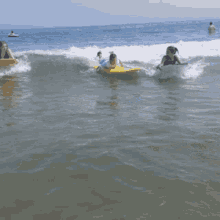 Surfing GIF - Surfing GIFs
