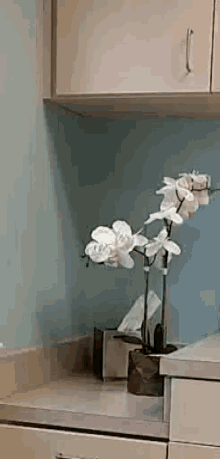 Orchid Flowers GIF - Orchid Flowers Office Plants GIFs