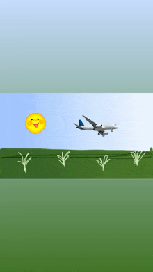 a plane is flying over a grassy field with a smiley face on it