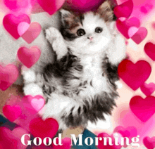 a kitten is surrounded by pink hearts and the words good morning on the bottom