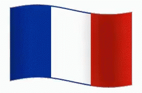 France Flag GIF - France Flag Blue White Red GIFs