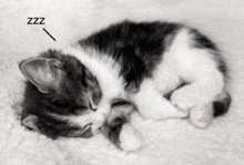 a black and white kitten is sleeping on a white blanket