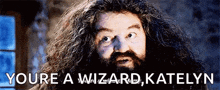 Wizard Magic GIF - Wizard Magic Hagrid GIFs