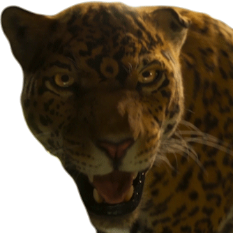 Jaguar Jungle Cruise Sticker - Jaguar Jungle Cruise Angry Jaguar Stickers