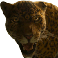Jaguar Jungle Cruise Sticker - Jaguar Jungle Cruise Angry Jaguar Stickers