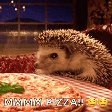 Hedgehog Cute GIF - Hedgehog Cute Pizza GIFs