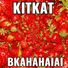 Kitkatmorango Bkahahaiai GIF - Kitkatmorango Bkahahaiai Morango GIFs