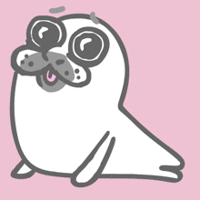 Seal нерпа GIF - Seal нерпа морское животное GIFs