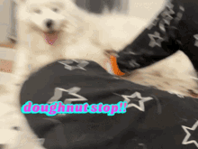 Dont Laughing GIF - Dont Laughing Samoyed GIFs