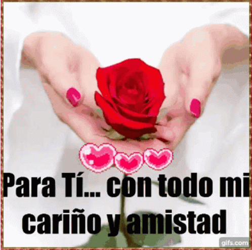 Para Ti Carino Amistad GIF - Para Ti Carino Amistad Rosa Roja - Discover &  Share GIFs