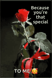 you are special rose