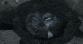 a black and white image of a cartoon character with claws