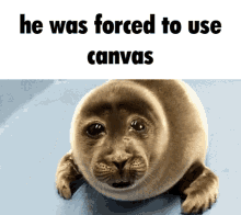 Canvas Seal GIF - Canvas Seal Sad GIFs