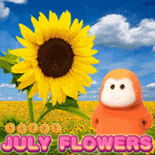 a picture of a sunflower in a field with the words july flowers below it