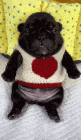 a puppy wearing a sweater with a red heart on it