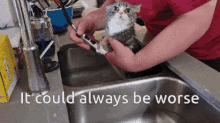 Bath Cat GIF - Bath Cat Funny Memes GIFs