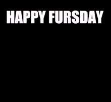 a picture of a furry animal with the words happy fursday written above it