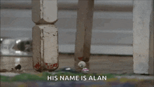 a close up of a chair with the words " his name is alan " written below it