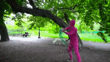 Tree Pink GIF - Tree Pink Dog GIFs