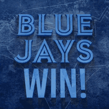 Blue Jays Blue Jays Win GIF - Blue Jays Blue Jays Win GIFs