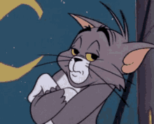 Tom And Jerry So What GIF - Tom And Jerry So What I Dont Care GIFs