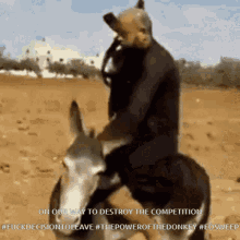 Eo Donkey Sweep The Power Of The Donkey GIF - Eo Donkey Sweep The Power Of The Donkey Fuck Decision To Leave GIFs