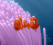 Finding Nemo Disney GIF - Finding Nemo Disney Pixar GIFs