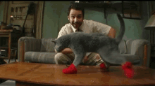 Mittens Cats GIF - Mittens Cats GIFs