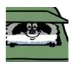 a black and white dog is looking out of a car window and smiling .