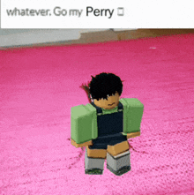 a picture of a roblox character standing on a pink rug