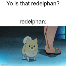 Dog Redelphan GIF - Dog Redelphan GIFs