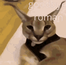 Roman Goodbye GIF - Roman Goodbye Goodbye Roman GIFs