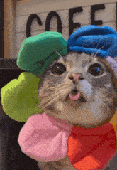 a cat wearing a hat with a flower on it sticks its tongue out in front of a sign that says coffee