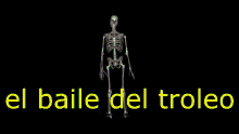 Baile Troleo GIF - Baile Troleo Esqueleto GIFs