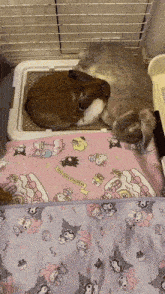 two rabbits laying on a blanket that says sanrio on it