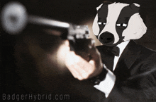 Baywatch Badgers Badger GIF