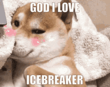 Icebreaker I Love Icebreaker GIF - Icebreaker I Love Icebreaker Icebreaker Love GIFs