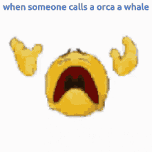 Friendly Orca GIF