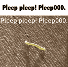 Pleep Woot GIF - Pleep Woot Woot000 GIFs