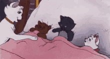 Cat About To Sleep GIF