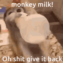 Monkeymilk Ohshitgiveitback GIF - Monkeymilk Ohshitgiveitback GIFs