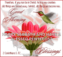 a picture of a flower with the words happy sabbath and have a blessed pentecost written on it
