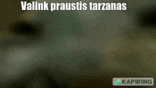 Tarzan Smelly GIF - Tarzan Smelly Cat GIFs