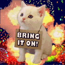 Bring It On Challenge GIF - Bring It On Challenge Im Ready For You GIFs