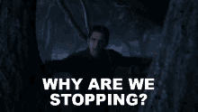 Why Are We Stopping Dylan O Brien GIF - Why Are We Stopping Dylan O Brien Stiles Stilinski GIFs