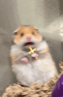 a hamster is holding a cross in its mouth