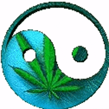 yin yang yin yang badge icon