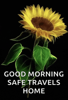 a picture of a sunflower with the words good morning safe travels home below it